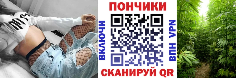 Шишки марихуана сатива Спасск-Дальний